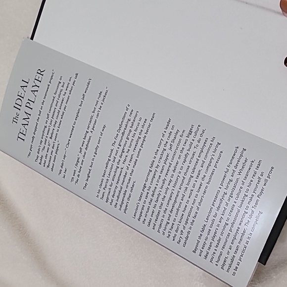 The Ideal Team Player Book - Picture 5 of 12